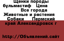 Щенки породы бульмастиф › Цена ­ 25 000 - Все города Животные и растения » Собаки   . Пермский край,Александровск г.
